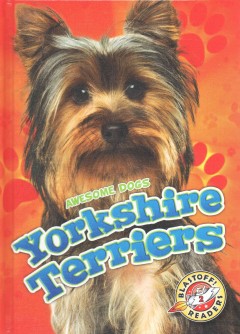 Yorkshire terriers  Cover Image