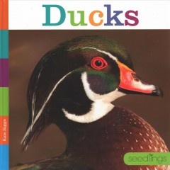 Ducks  Cover Image