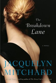 The breakdown lane  Cover Image