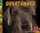 Go to record Great Danes