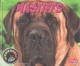 Go to record Mastiffs