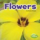 Go to record Flowers