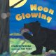 Go to record Moon glowing